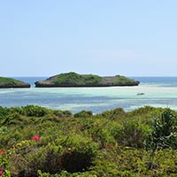 Island from the Terrace